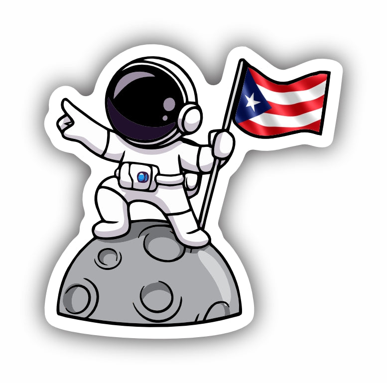 Man On The Moon Puerto Rico Flag