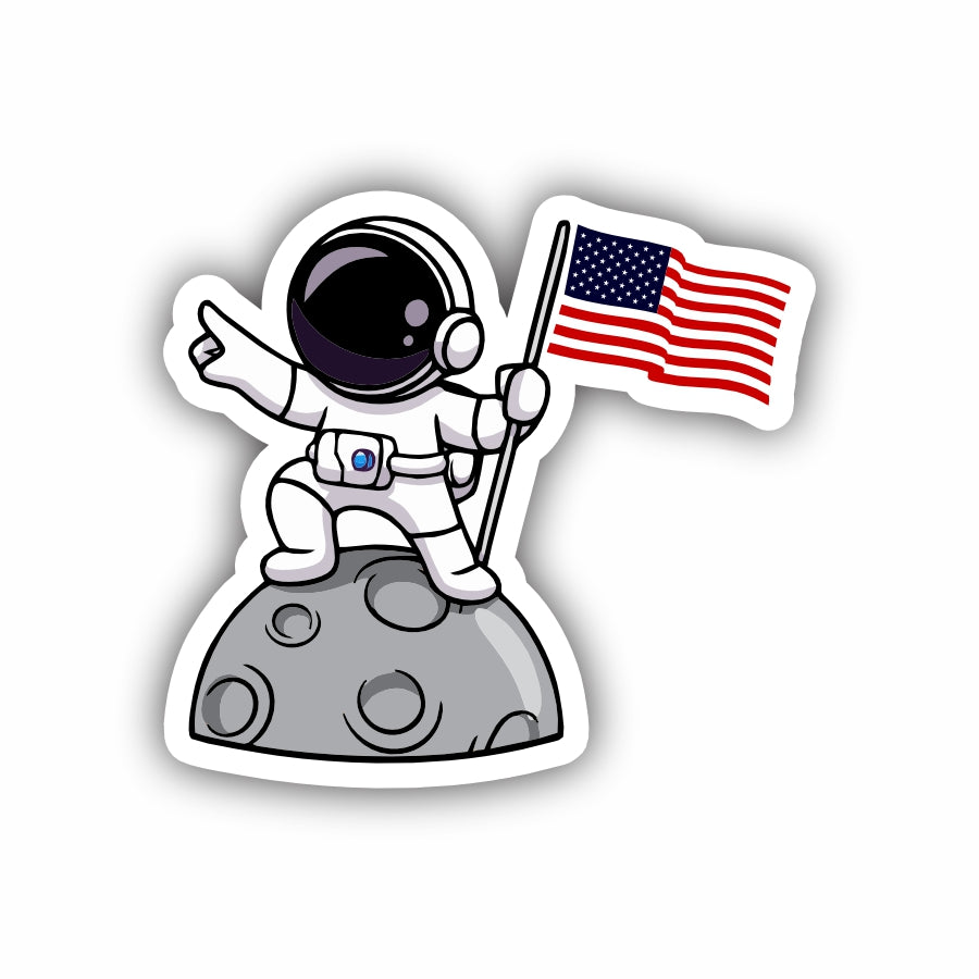 Man On The Moon USA Flag